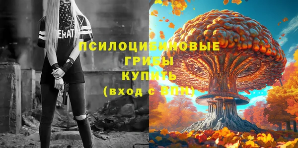 Альфа ПВП Алексин