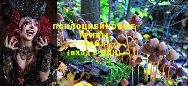 MDMA Алзамай